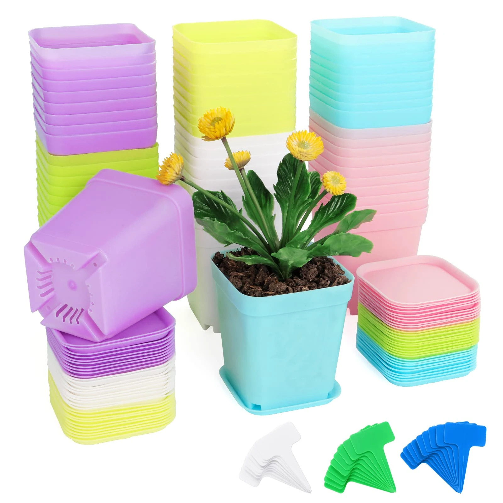 Fippy 60 Pieces Small Plastic Plant Pot 7cm, Square Plant Nursery Pots with Trays, Plant Seedling Pot, Plastic Colorful Flower Pot for Garden Office and Balcony Decor, Multi-Color