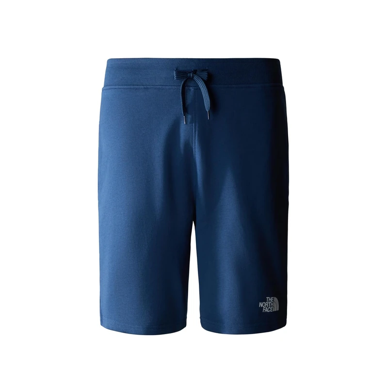 The North Face Men's Standard Shorts, Shady Blue, L