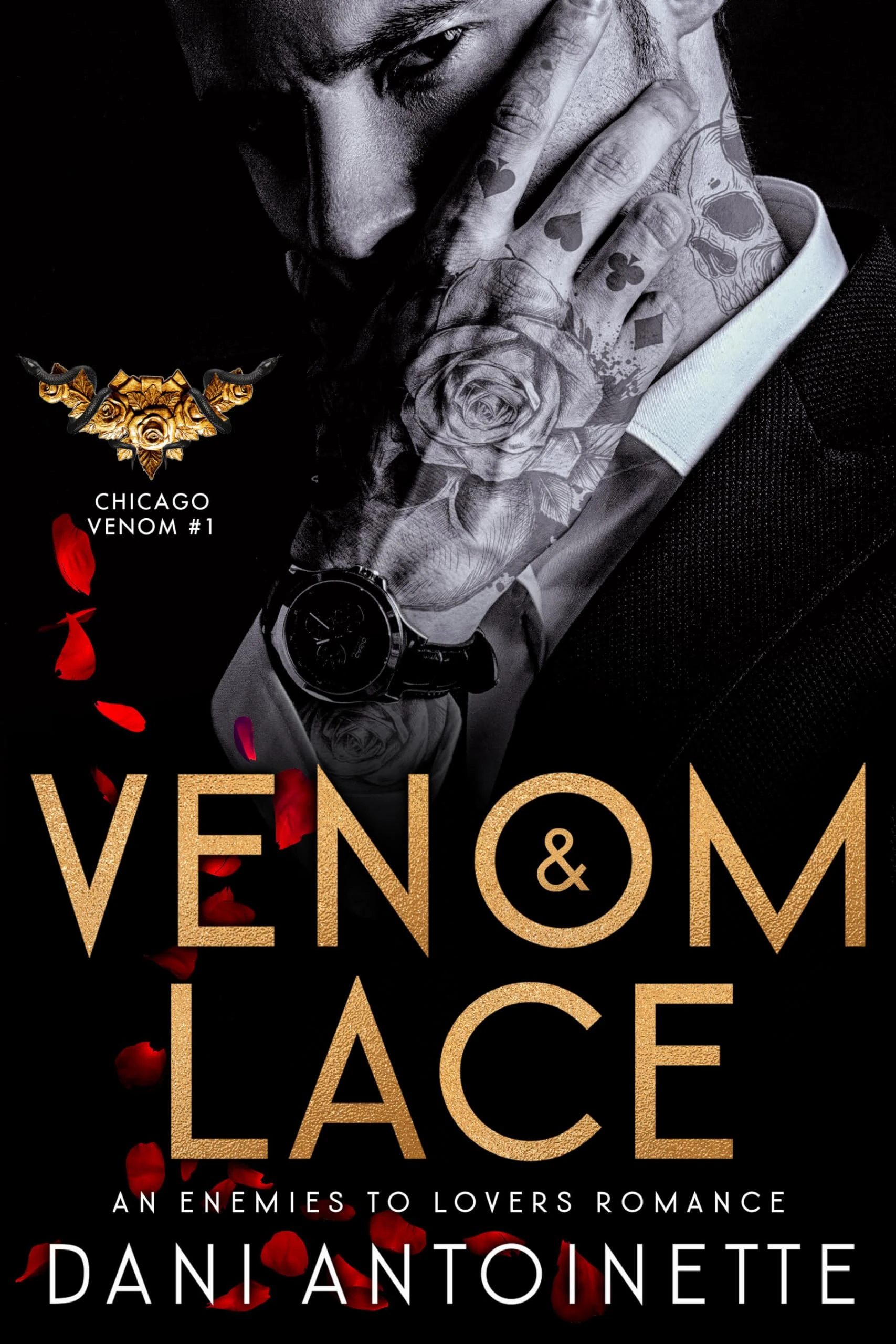Venom and Lace: An Enemies to Lovers Romance (Book One of the Venom Series)
