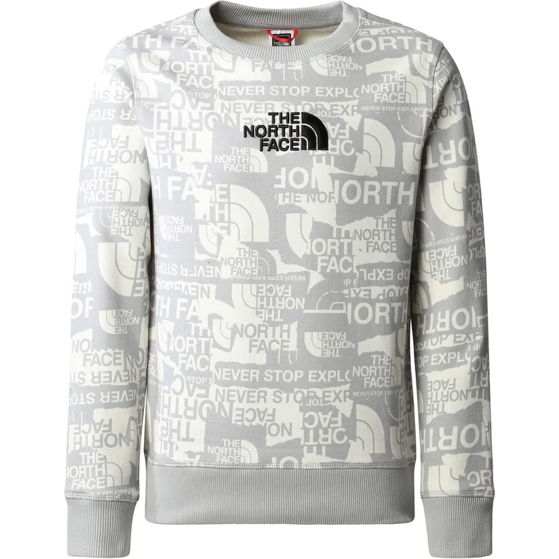 THE NORTH FACE Drepeak Sweatshirt Grey-020 164