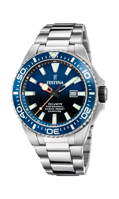 FESTINA Analog F20663/1, Silver, Traditional