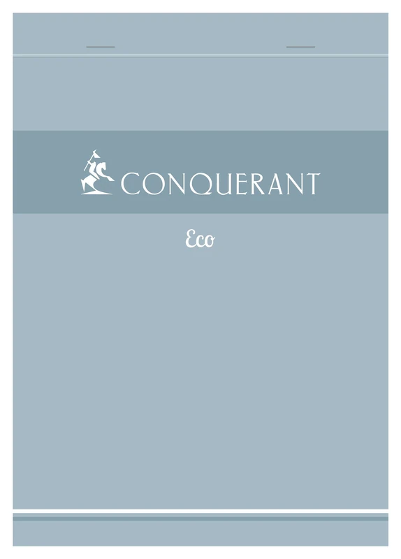 Conquérant Pack of 40 Eco A5 Notepads Small Squares 5 mm 200 Pages Stapled Head Cover Blue Card
