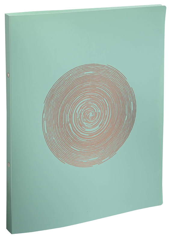 Exacompta - Ref. 54890E - Box of 20 Ellipse recycled PP flexible binders - 2 round rings 15 mm diameter - 20 mm spine - external dimensions 32 x 25 cm - A4 file format - assorted colors
