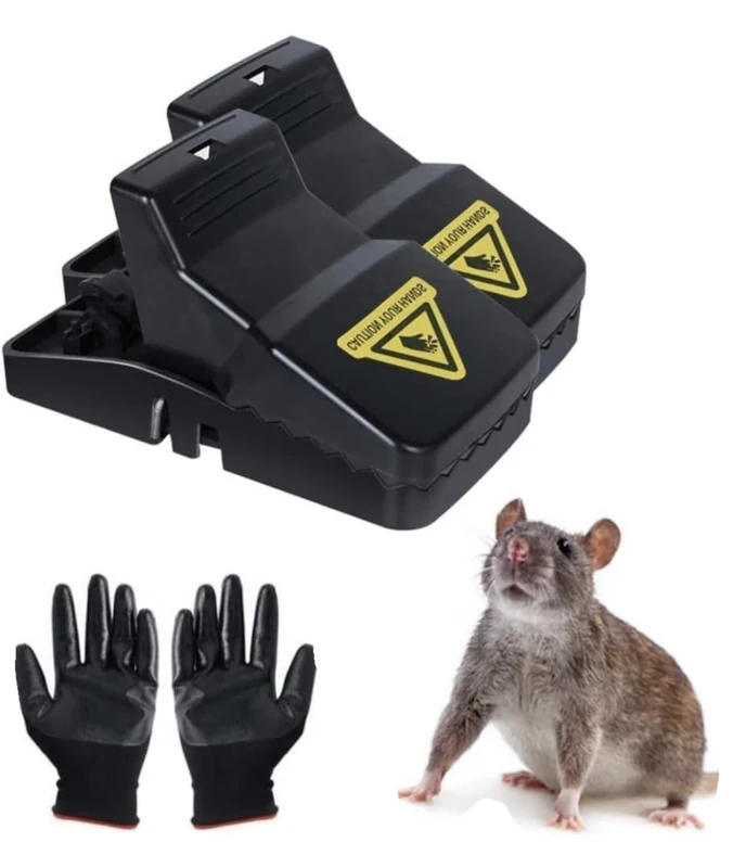 BATUUTAH XXL 21 cm Rat Traps – 2 Pack Extra-Large Heavy Duty Snap Traps, Reusable with Strong Mechanism for Indoor & Outdoor Rodent Control