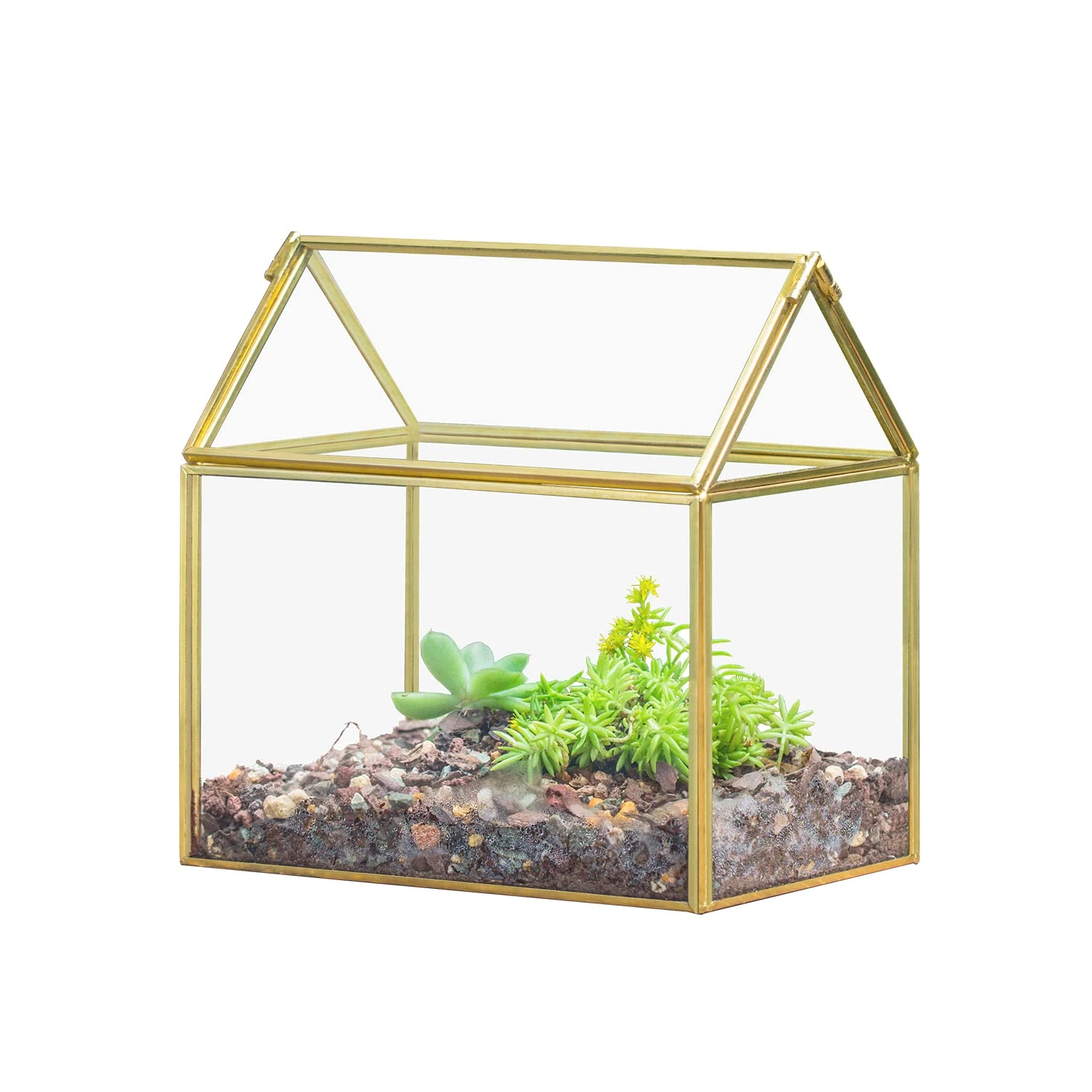 NCYP Small Glass Terrarium with Lid for Plant Succulent - 15.5x11x16 CM - Garden Tabletop Decor Planter, Handmade Geometric Centerpiece Gold (No Plants)