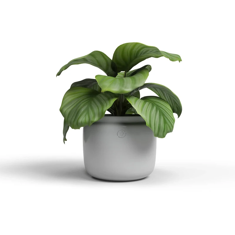 Artevasi Astrea Pot, Flowerpot, decorative pot, Handmade Ceramic, Color Light Grey, 20cm