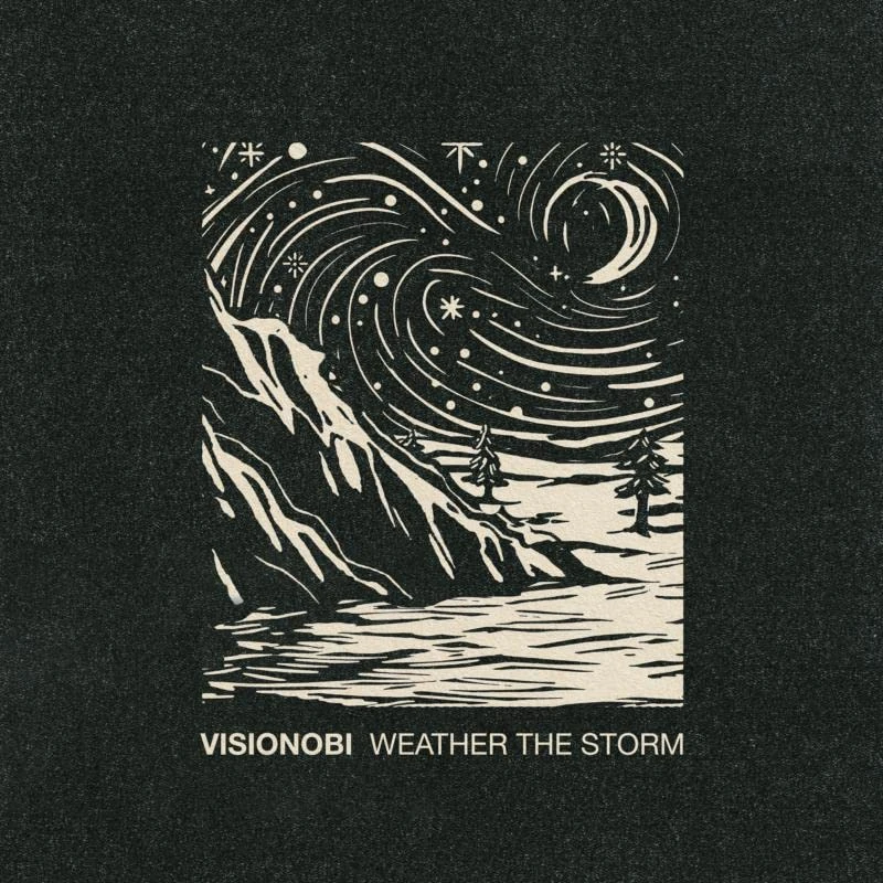 Weather The Storm [VINYL] - Image 1