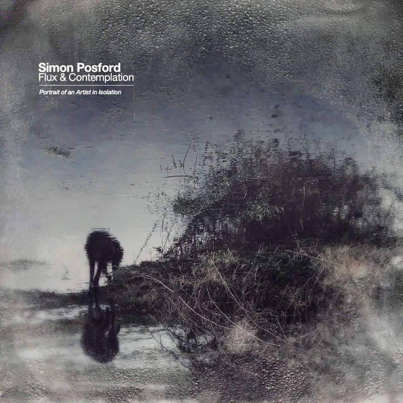 Flux & Contemplation: Portrait Of An Artist In Isolation [VINYL]
