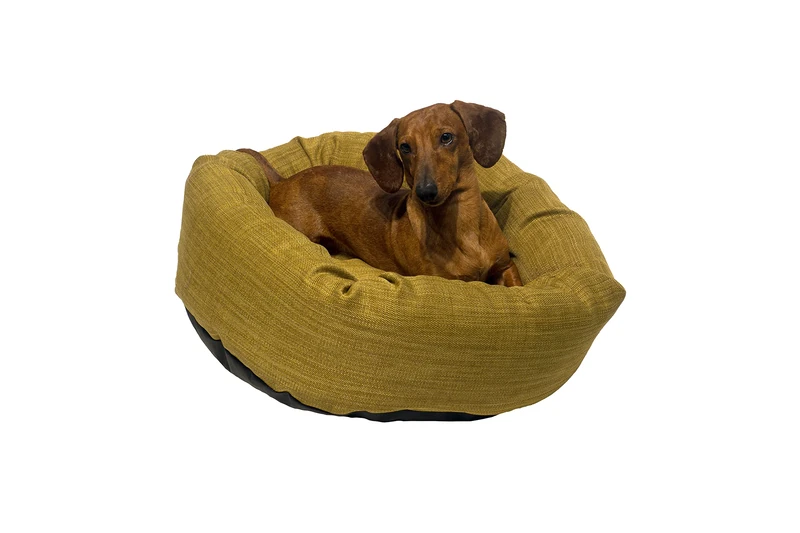 Danish Design Allsorts AB Palma Green Dog/Puppy Removable Cushion Donut Bed Large