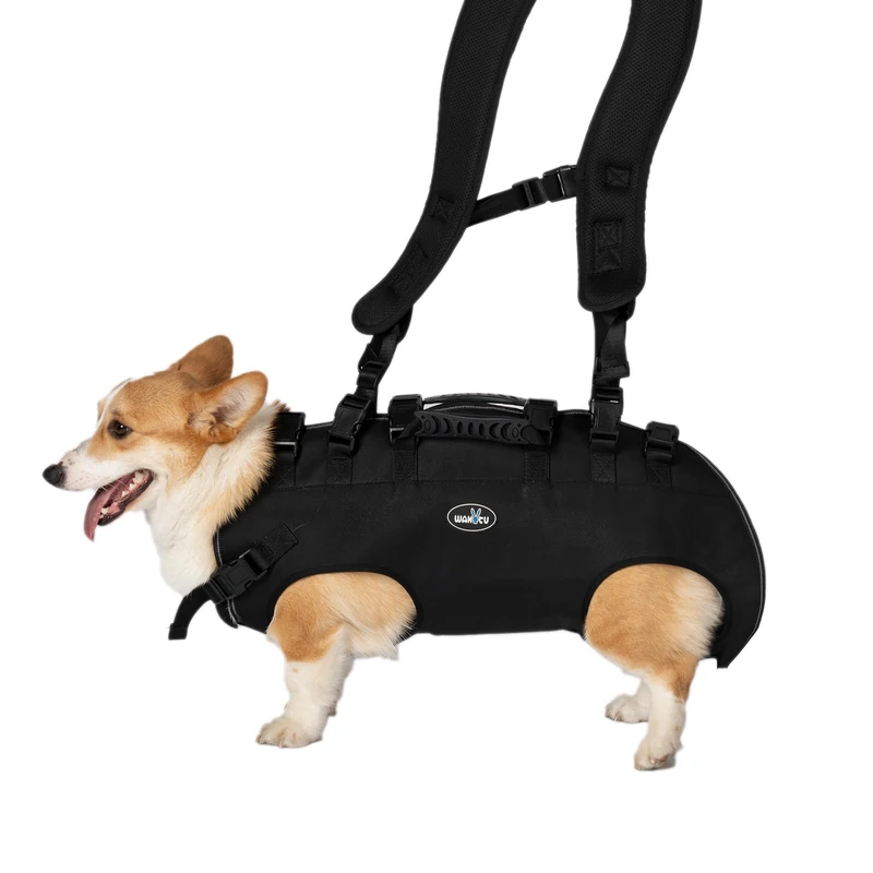 Pet Support & Rehabilitation Sling Lift - Adjustable Padded Breathable Straps for Dogs with Disabilities, Joint Injuries, Arthritis & Loss of Stability (16.5-33LBS) - Image 1