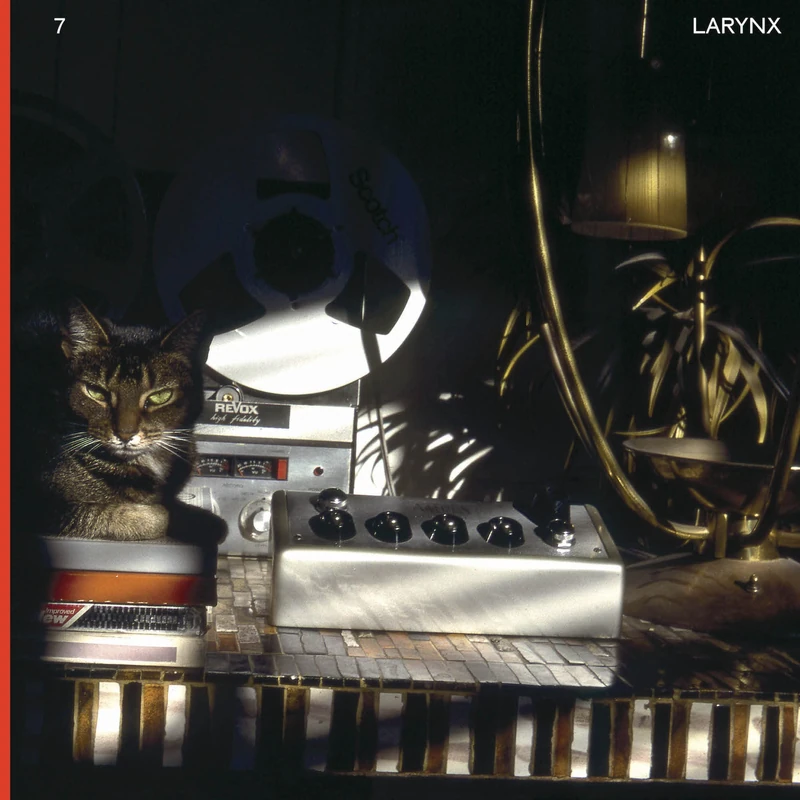 Larynx [VINYL]