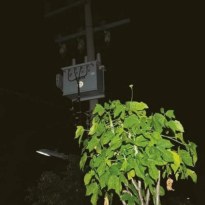 Down On Darkened Meetings [VINYL]