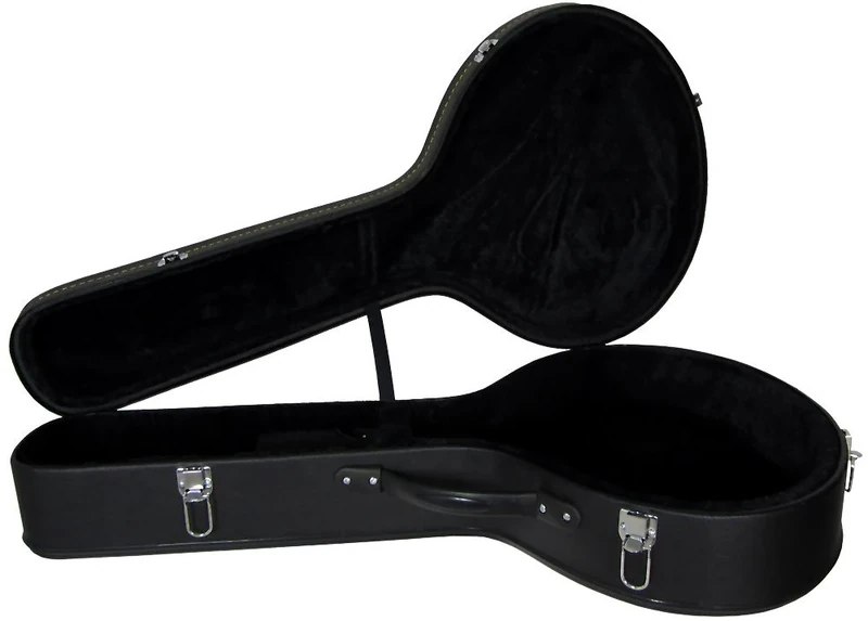 Large Bodied Mandola Case