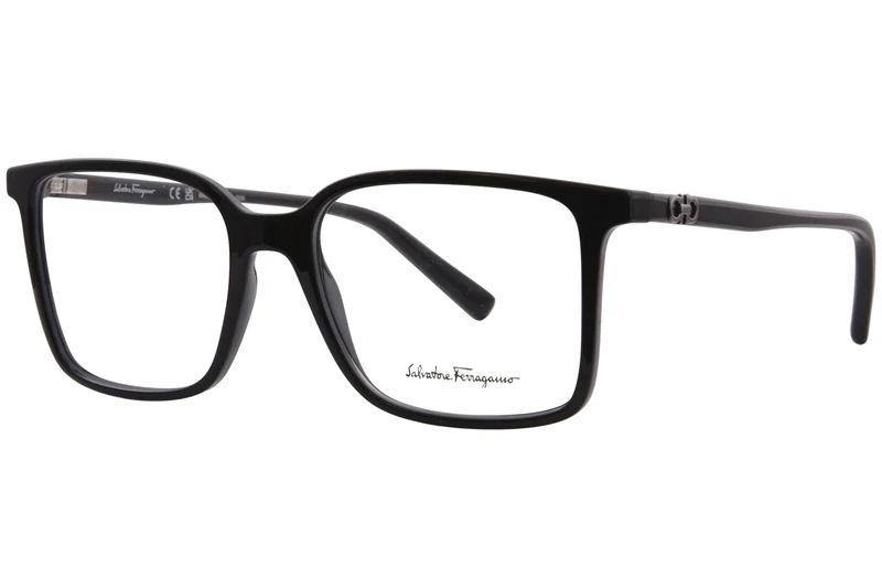 Ferragamo SF2954 SF2954 001 black Eyewear Unisex Acetate, Standard, 17