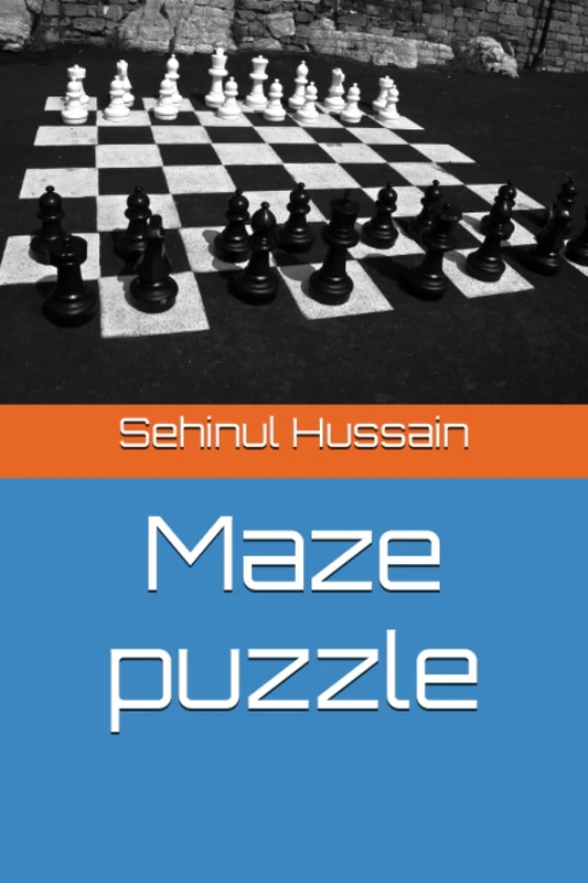 Maze puzzle