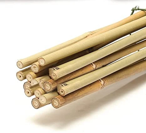 UK GROW Premium 4ft Bamboo canes - 50x Bamboo Sticks - Available in 3ft 4ft and 5ft Sizes and Multi-Pack Options (4ft Bamboo Canes, 50x Sticks)