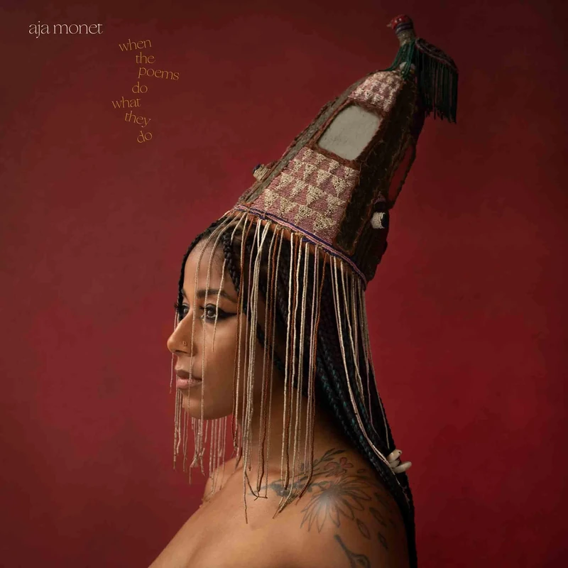 WHEN THE POEMS DO WHAT THEY DO [VINYL] - Image 1