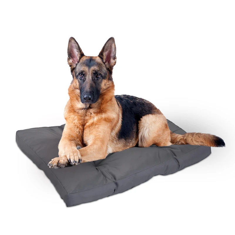Relaxdays Dog Bed, Soft Puppy Cushion for Small, Medium & Large Canines, Basket Washable, 110x90 cm, Grey, Polyester