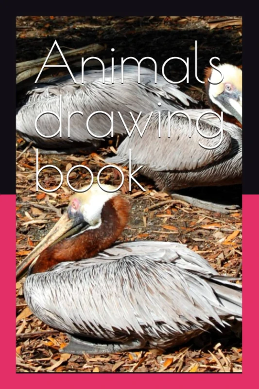 Animals drawing book
