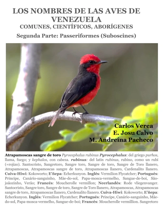 LOS NOMBRES DE LAS AVES DE VENEZUELA: COMUNES, CIENTÍFICOS, ABORÍGENES: Segunda Parte: Passeriformes (Suboscines)