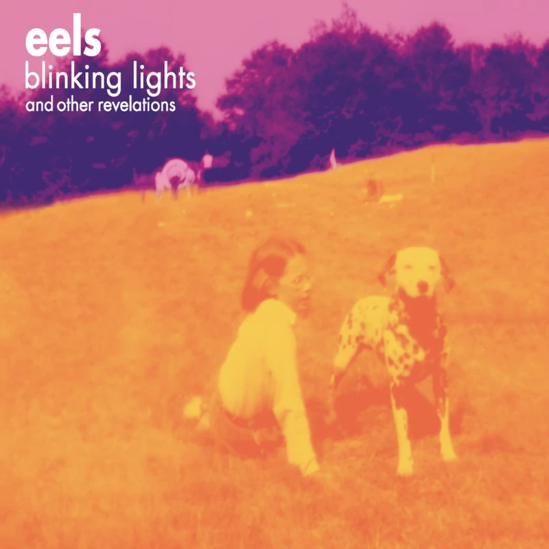 Blinking Lights And Other Revelations [VINYL]