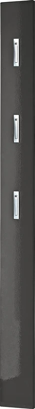 Germania wardrobe panel 3255-547, with THREE fold-out metal clothes hooks, in high-gloss anthracite, 15 x 170 x 3 cm (WxHxD)