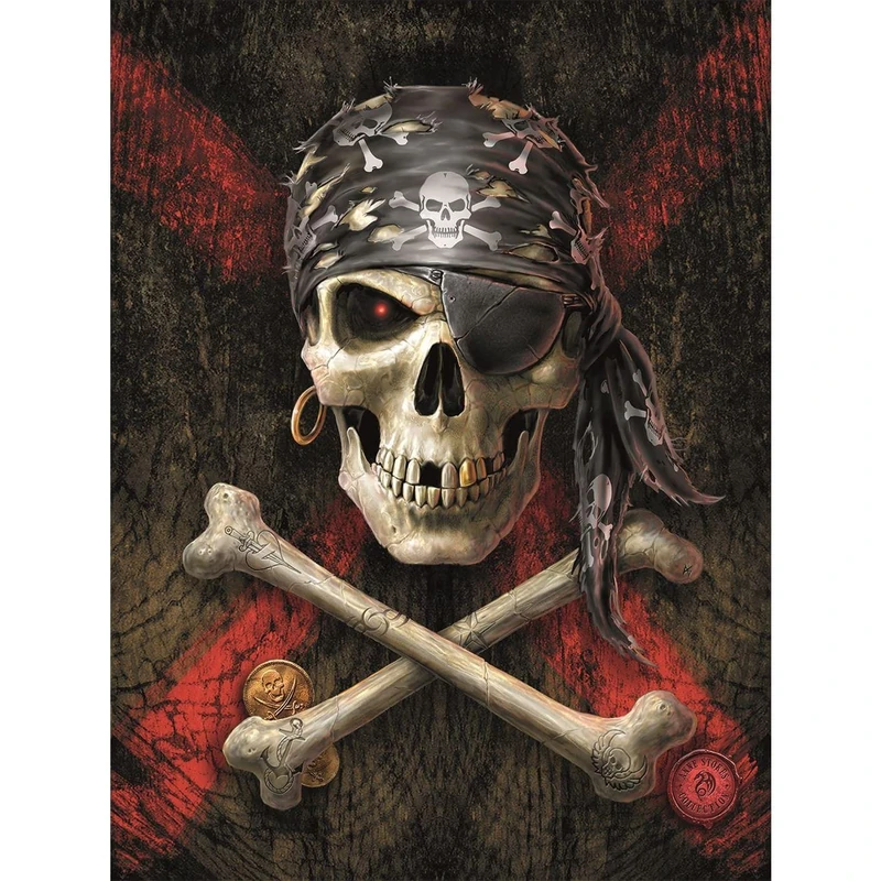 Pyramid International Anne Stokes Canvas (Pirate Skull Design) Large Canvas 60cm x 60cm - Official Merchandise