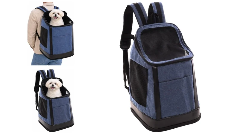 Flamingo BACK PACK NESTOR BLUE 35x30x47CM