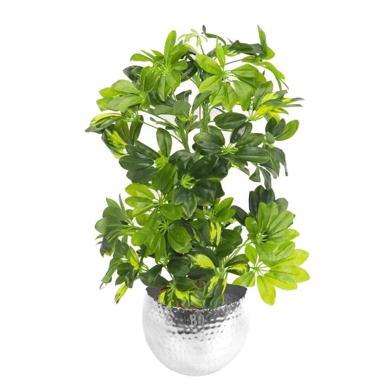 Leaf Design UK Artificial Realistic Potted House Plants, Golden Capella - Silver, 65 cm