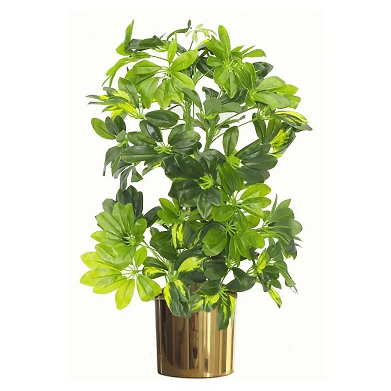 Leaf Design UK Artificial Realistic Potted House Plants,65cm