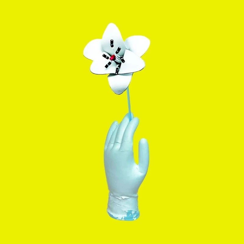 Auf Sand Gebaut [VINYL]