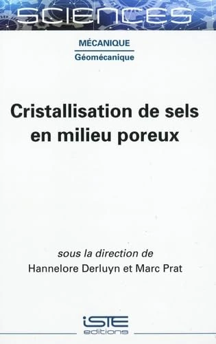 Cristallisation de sels en milieu poreux - Image 1