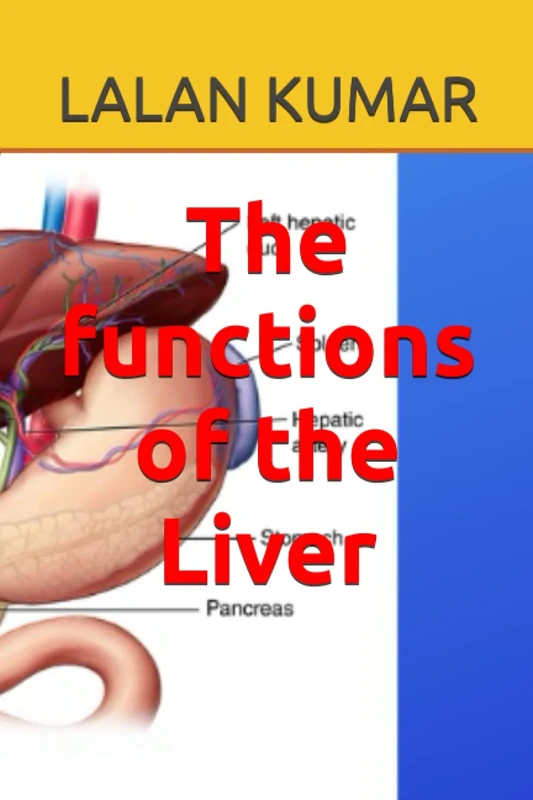 The functions of the Liver - Image 1