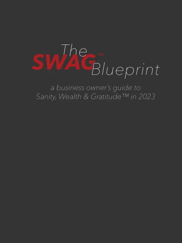 The SWAG™ Blueprint: a business owner's guide to Sanity, Wealth, & Gratitude™ in 2023