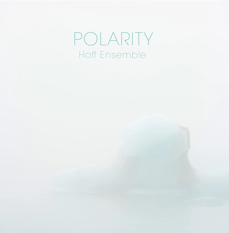 POLARITY - an acoustic jazz project [VINYL] - Image 1