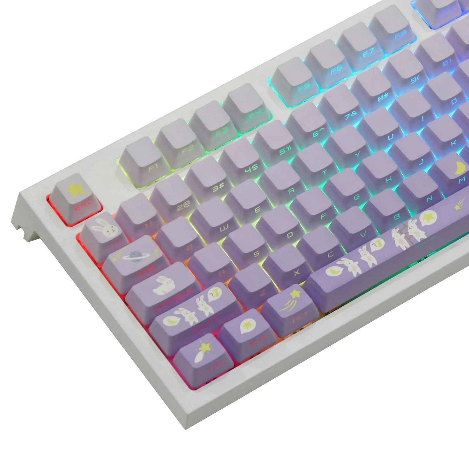 EPOMAKER Moonlit Bunny 138 PBT Keycaps Set, Side-printed, Shine Through 5-side Dye Sublimation OEM Profile Keys for Mechanical Gaming Keyboard (Moonlit Bunny Side-printed)