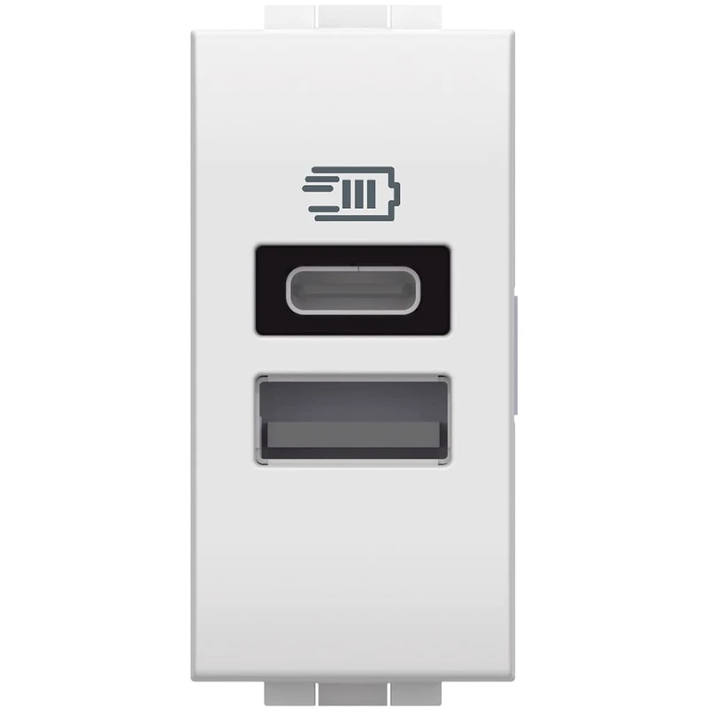 Bticino N4191Aa USB Charger with Two Input Type A E C, to be installed in the Livinglight Plate, to Charge an Electronic Device Up to 15W Or Two Devices Assembly, 1 Module, White