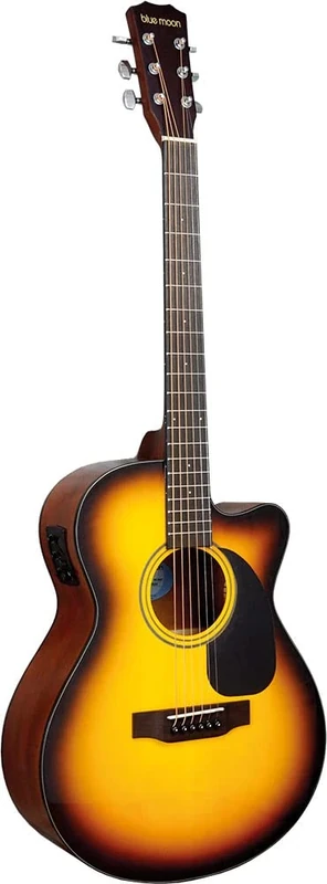 Electro Acoustic Guitar, S/B