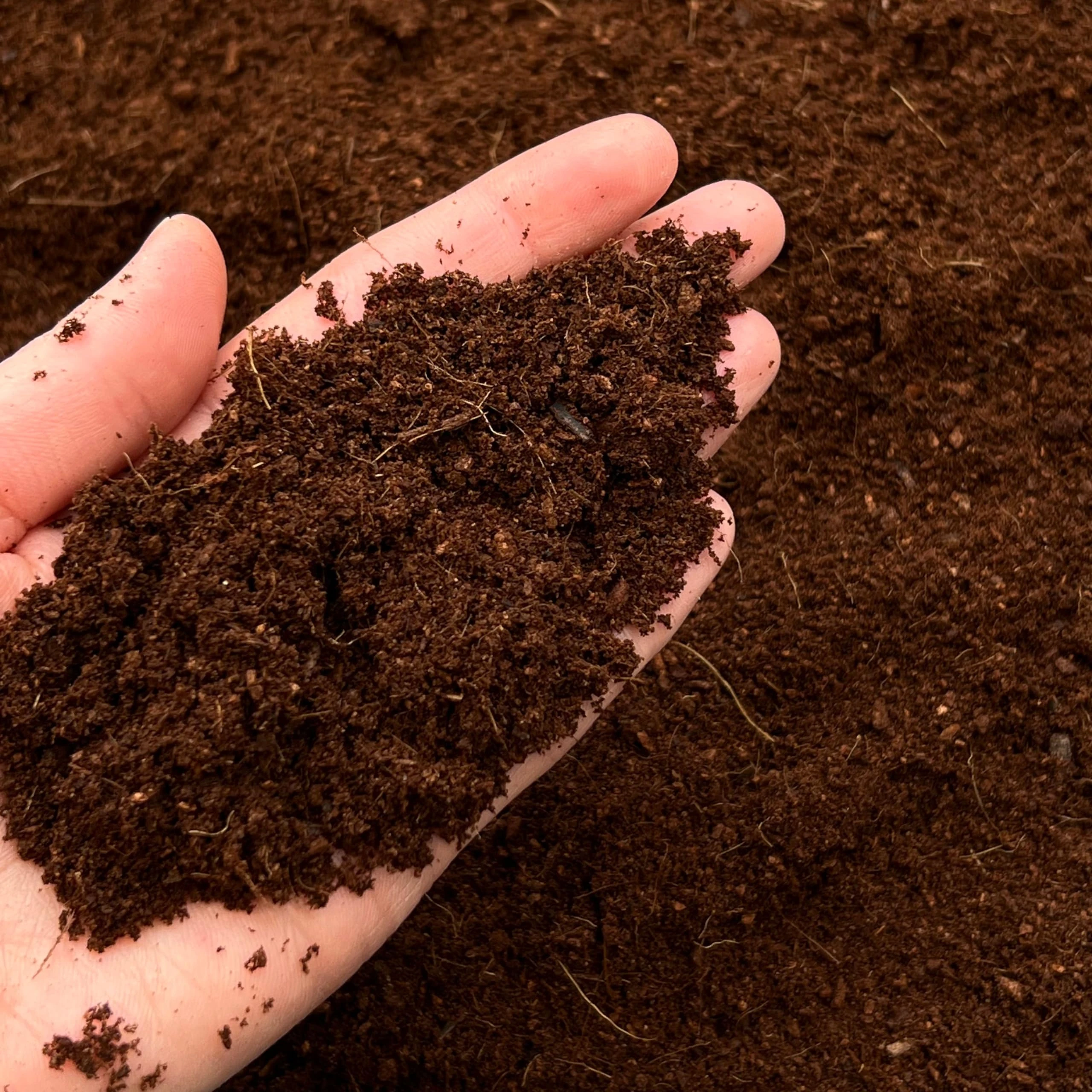 Coconut Coir fibre Coco Organic Soil Media Hydroponics Substrate Compost (2L)