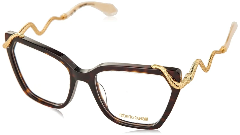 Roberto Cavalli view glasses