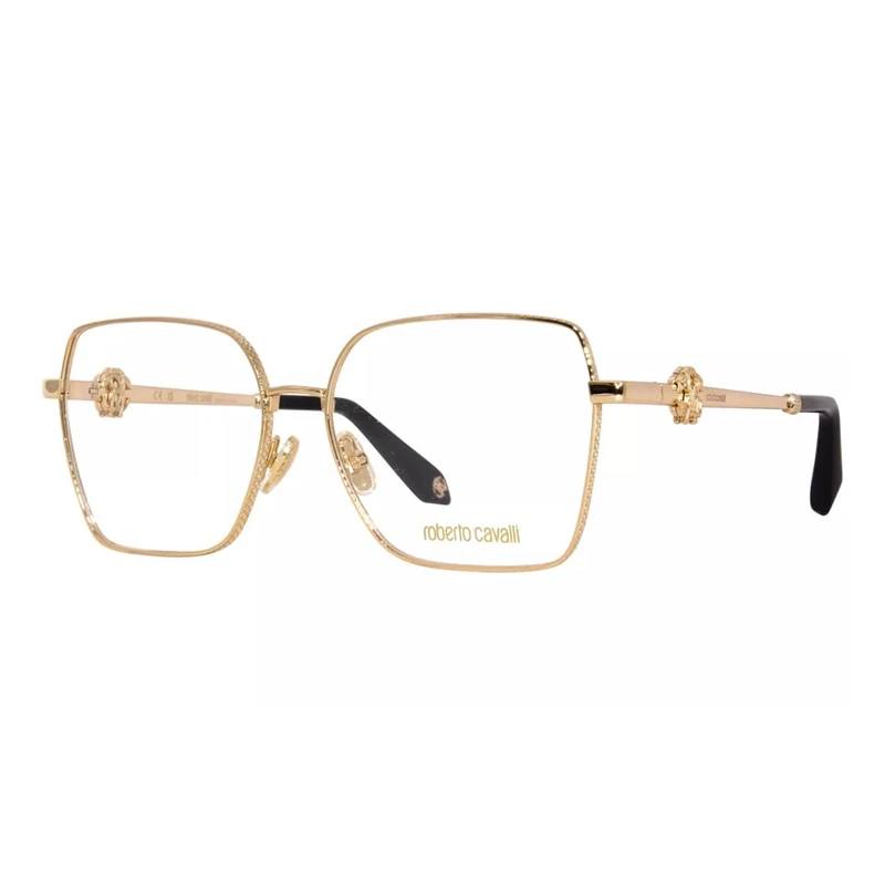 Roberto Cavalli view glasses