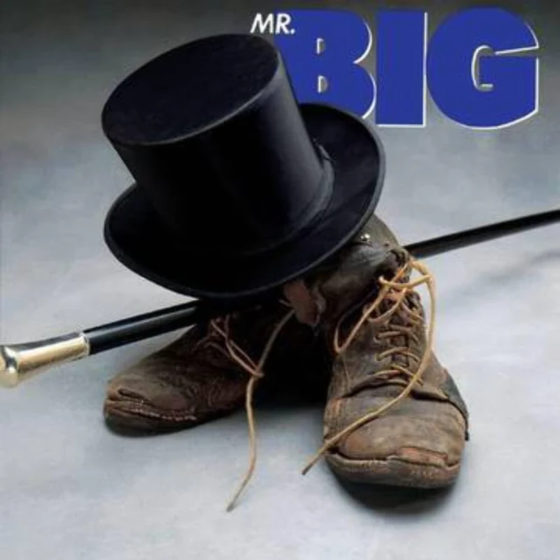 Mr. Big [VINYL]