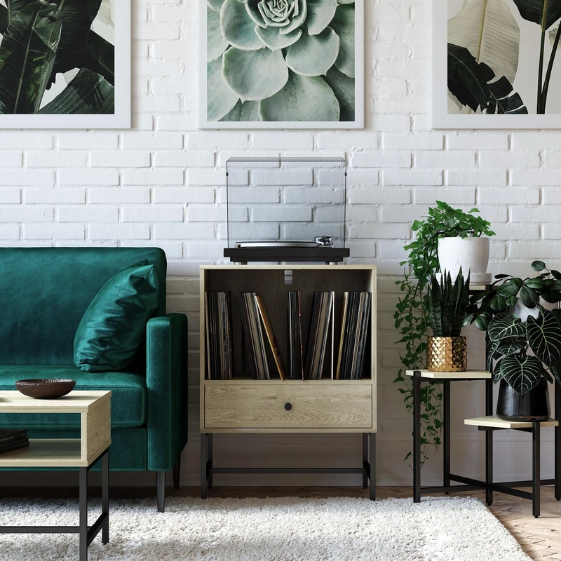 DHP Furniture Tamlin Record Stand, Oak Look