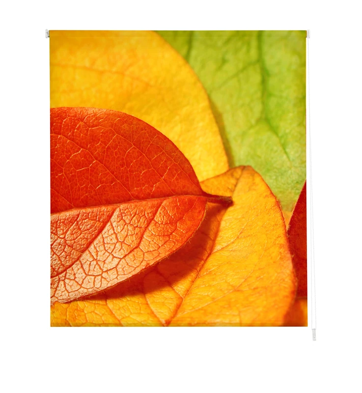 Estoralis Translucent Roller Blind, Digital Print, F-1559, 130 x 175 cm (W x H)