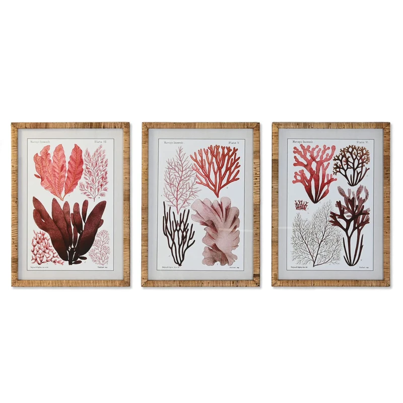 DKD Home Decor Picture, Standard