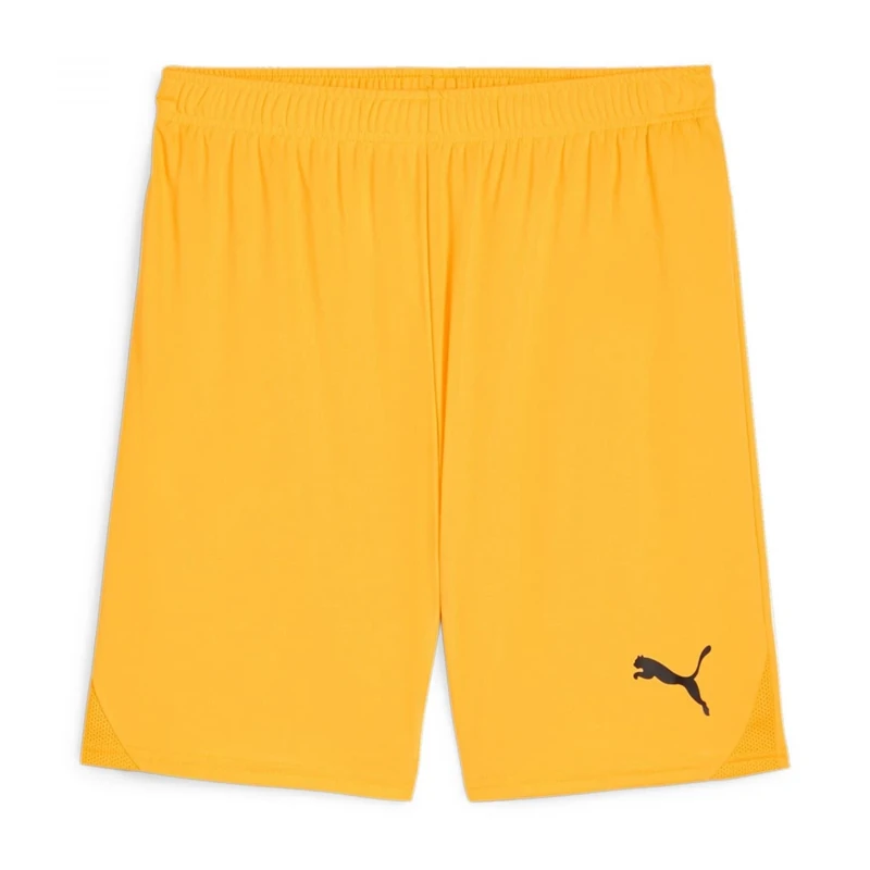 PUMA teamGOAL Shorts Jr