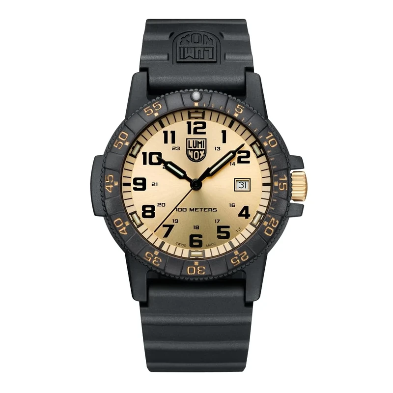 Luminox Men Analog Swiss Quartz Watch with Plastic Strap XS.0325.GP