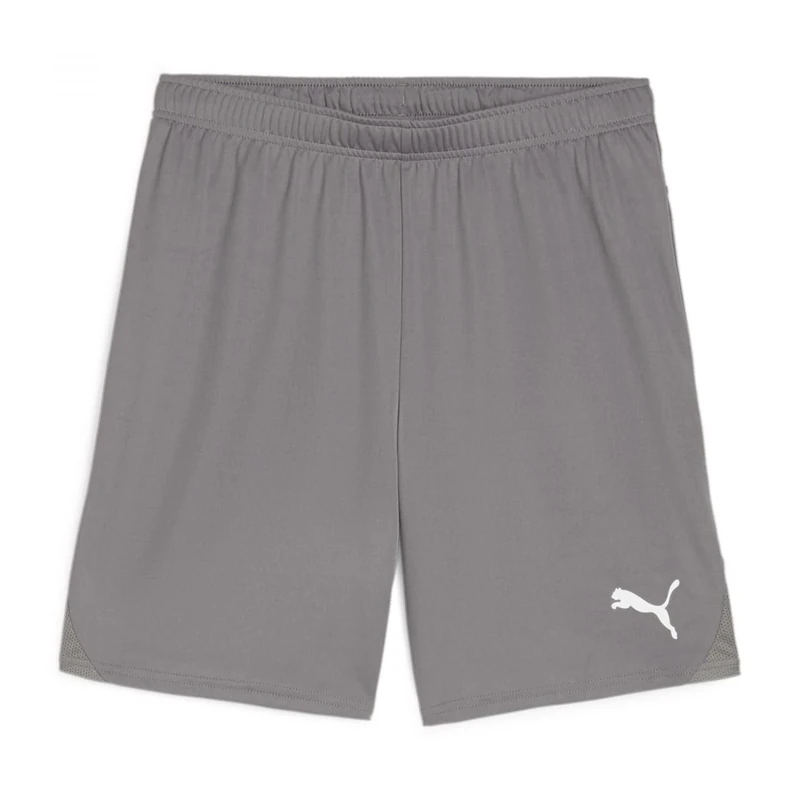 PUMA teamGOAL Shorts Jr