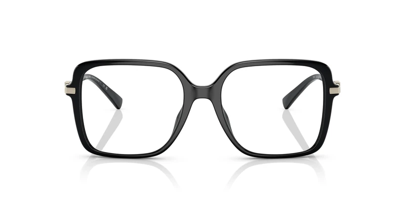 Michael Kors view glasses