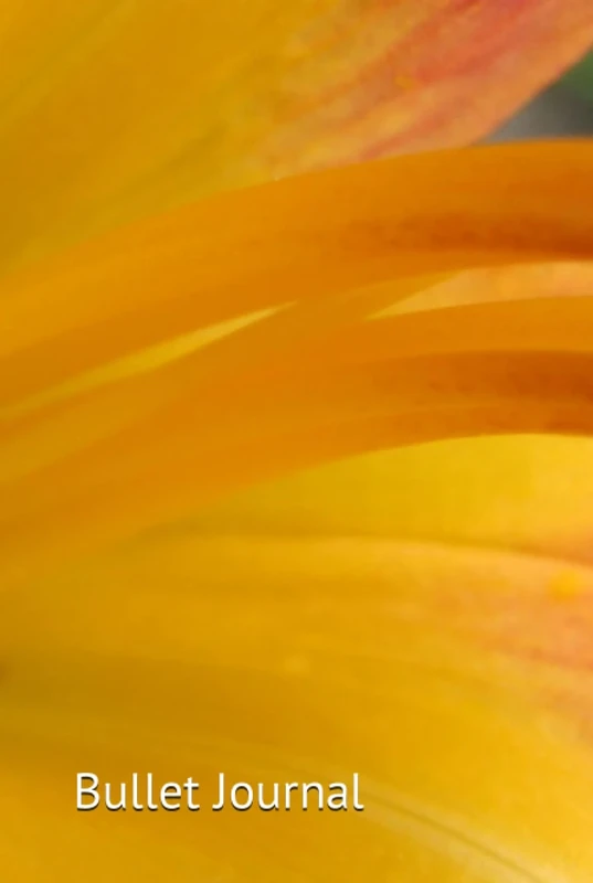 Bullet Journal: Yearly Overviews, Calendar & Budget Tracker